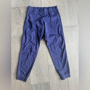 Fleo Harley Joggers in Deep Navy